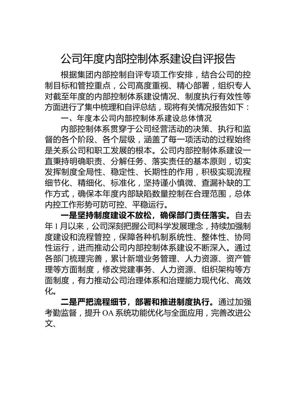 公司年度内部控制体系建设自评报告.docx_第1页