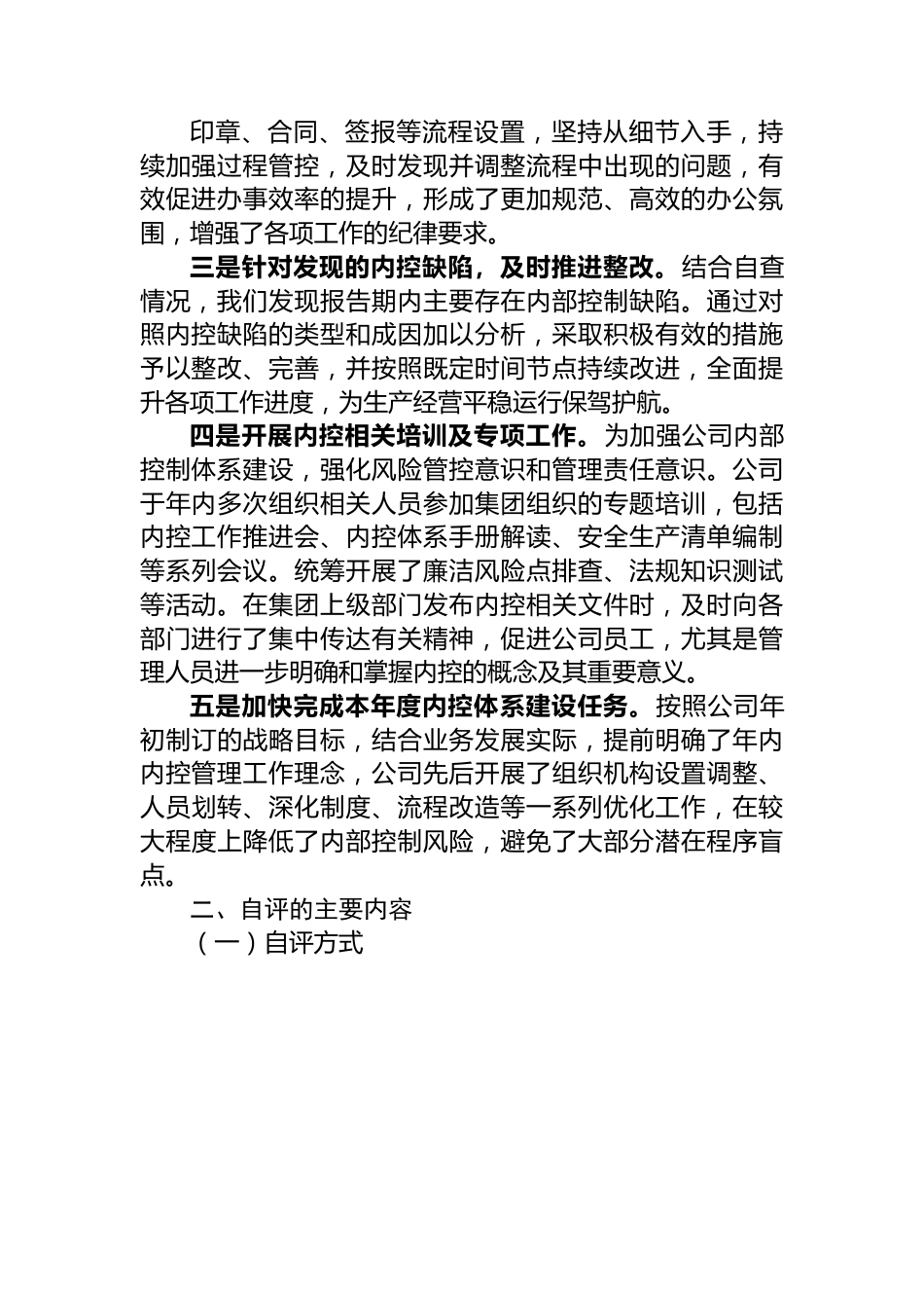 公司年度内部控制体系建设自评报告.docx_第2页