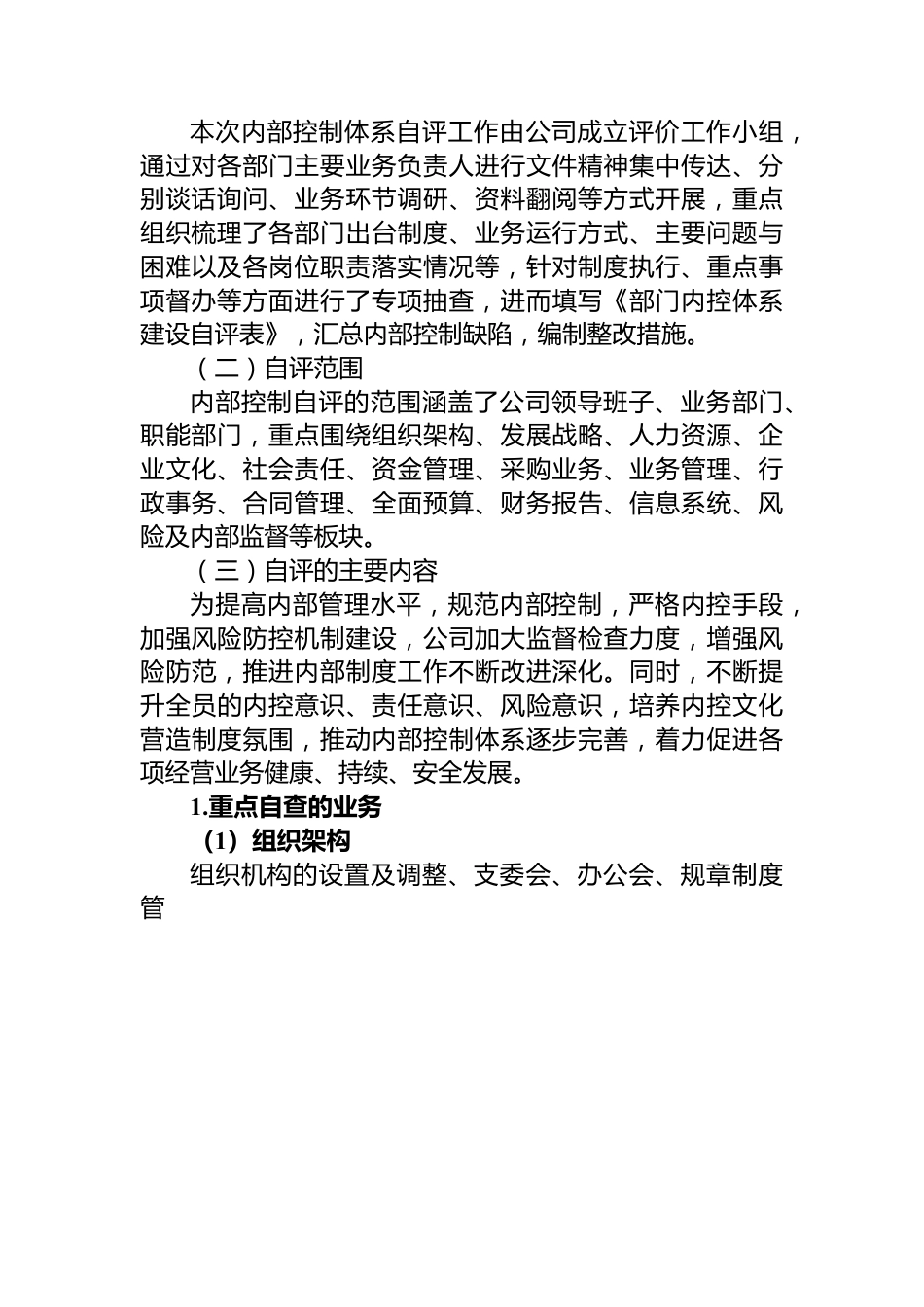 公司年度内部控制体系建设自评报告.docx_第3页