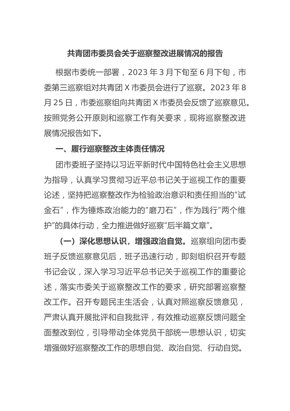共青团市委员会关于巡察整改进展情况的报告.docx_第1页