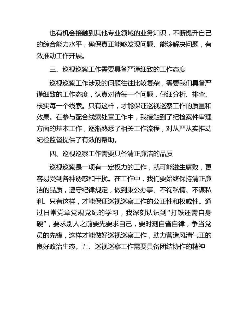 巡视巡察工作感悟体会征文.docx_第2页