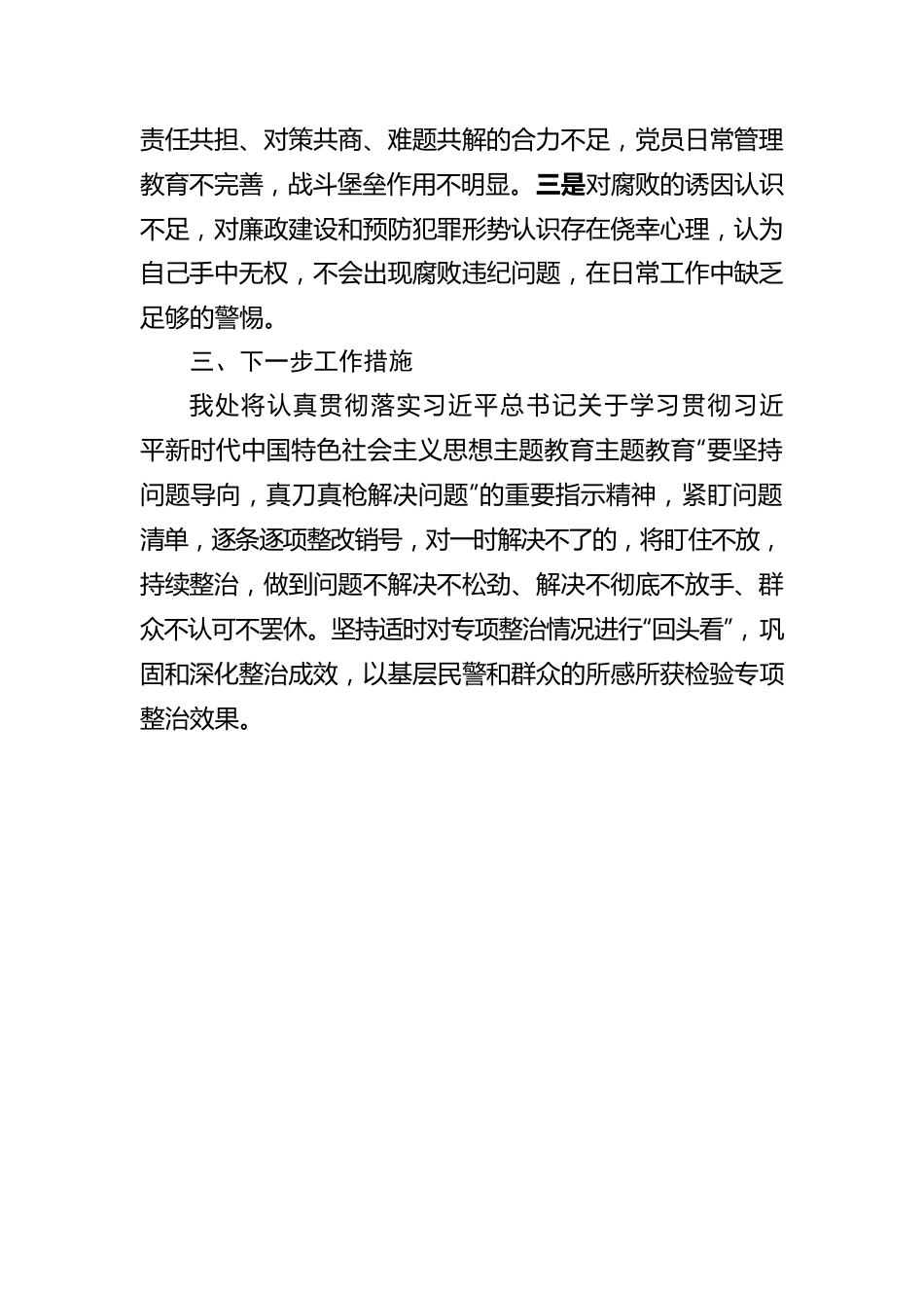 党支部关于专项整治情况的报告.docx_第3页