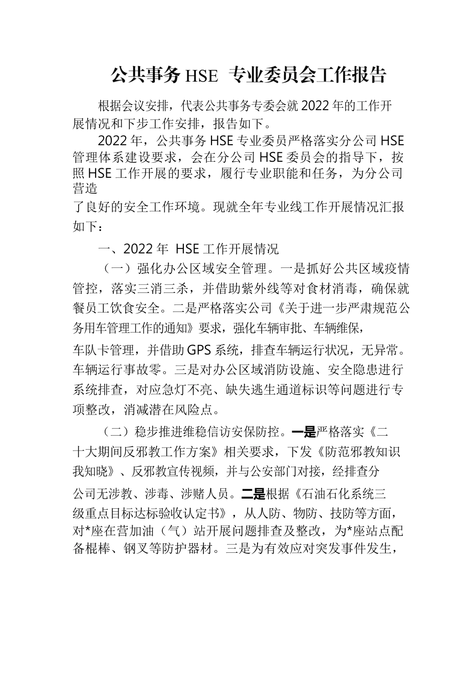 公共事务HSE专业委员会工作报告.docx_第1页