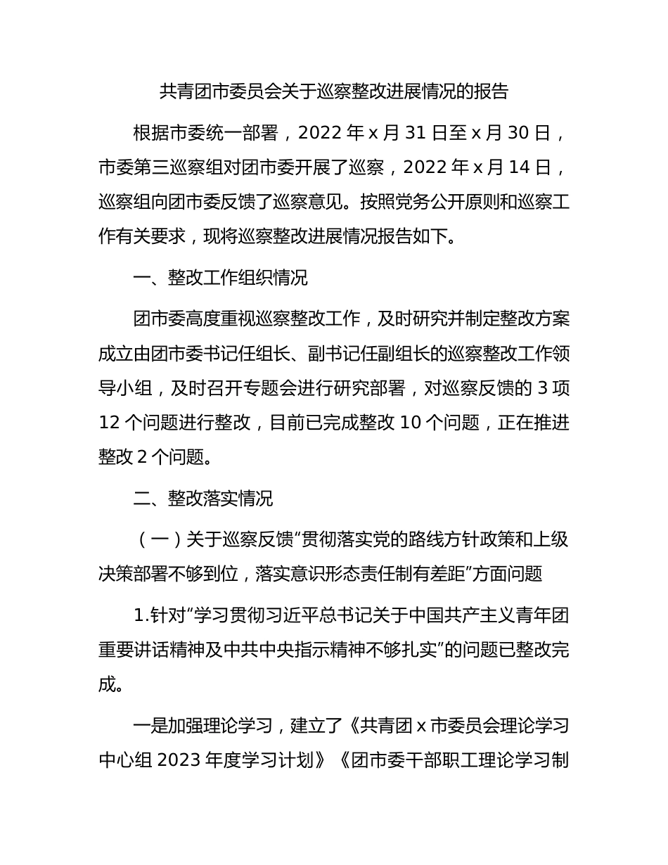 共青团巡察整改进展情况总结报告5800字.docx_第1页