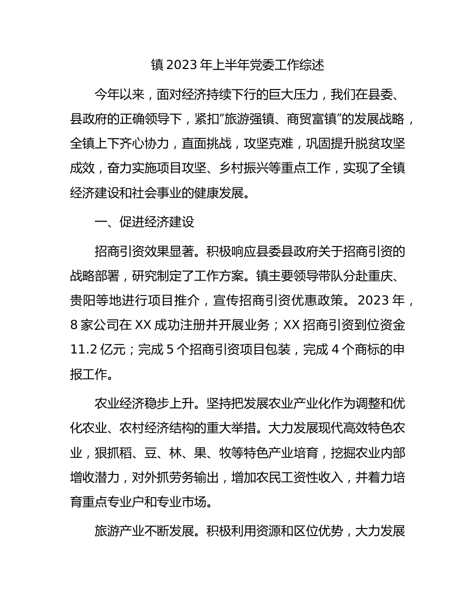 乡镇2023年上半年党委工作总结综述.docx_第1页