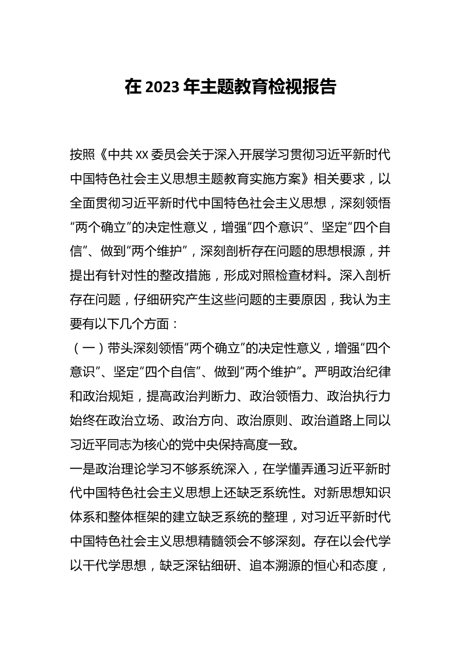 在2023年主题教育检视报告.docx_第1页