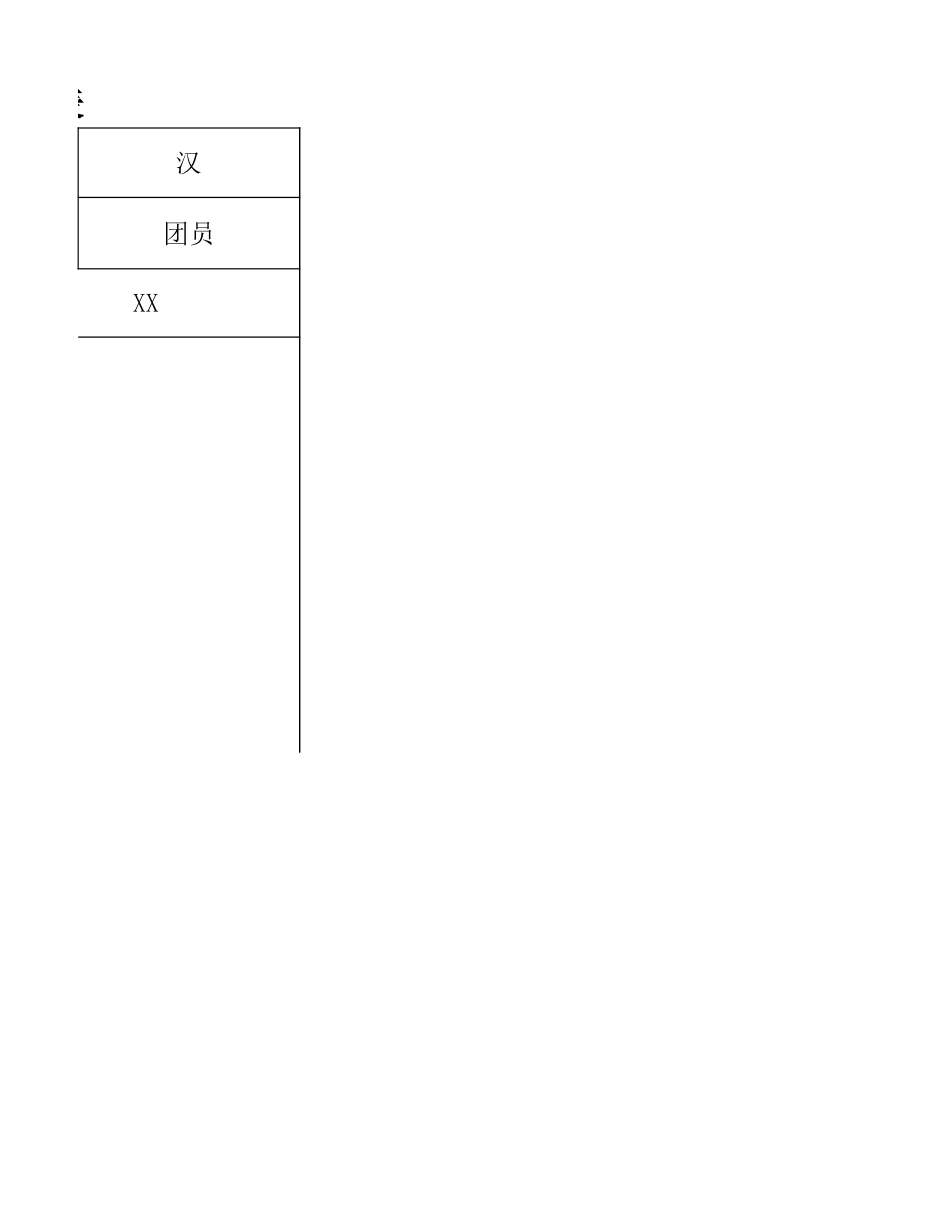 优秀团务工作者申报表.xlsx_第3页