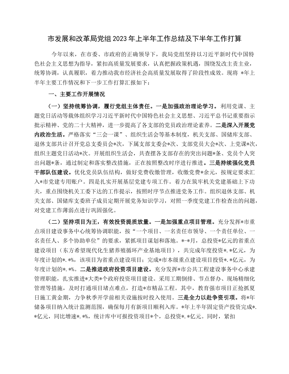 市发展和改革局党组2023年上半年工作总结及下半年工作打算.docx_第1页