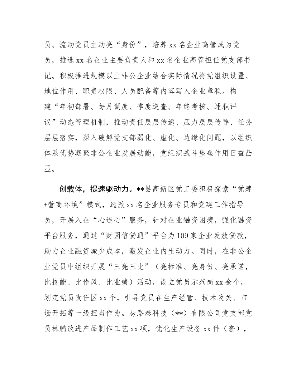 在2024年市委两新工委（扩大）会议暨全市“两企三新”党建工作推进会上的汇报发言.docx_第2页