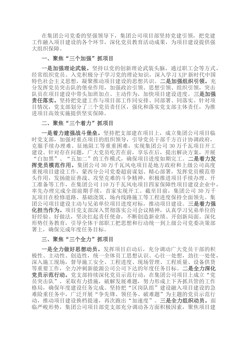 公司坚持DJ引领抓项目建设发言材料.docx_第1页