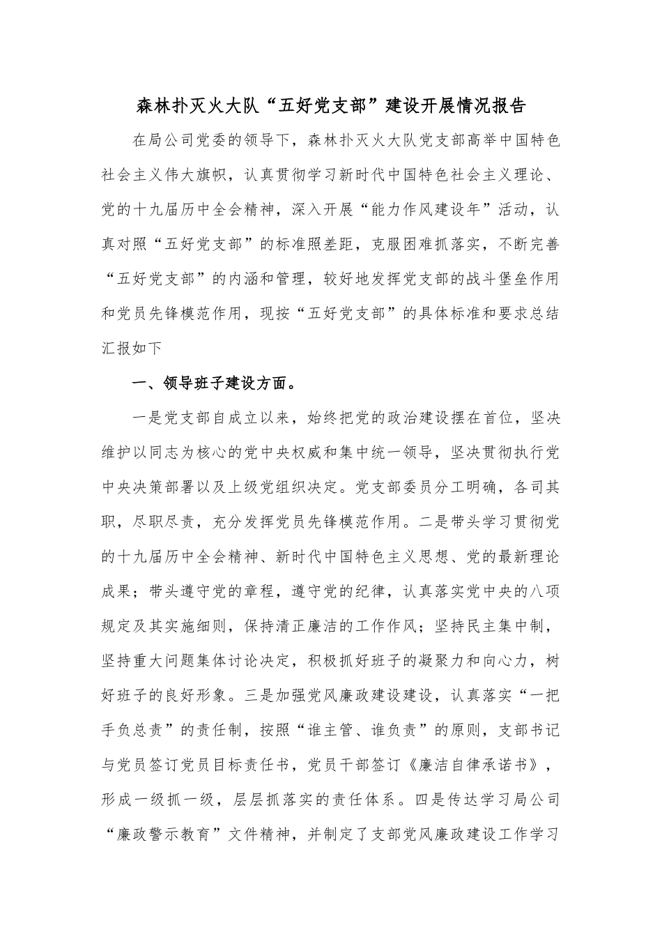 森林扑灭火大队“五好党支部”建设开展情况报告.docx_第1页