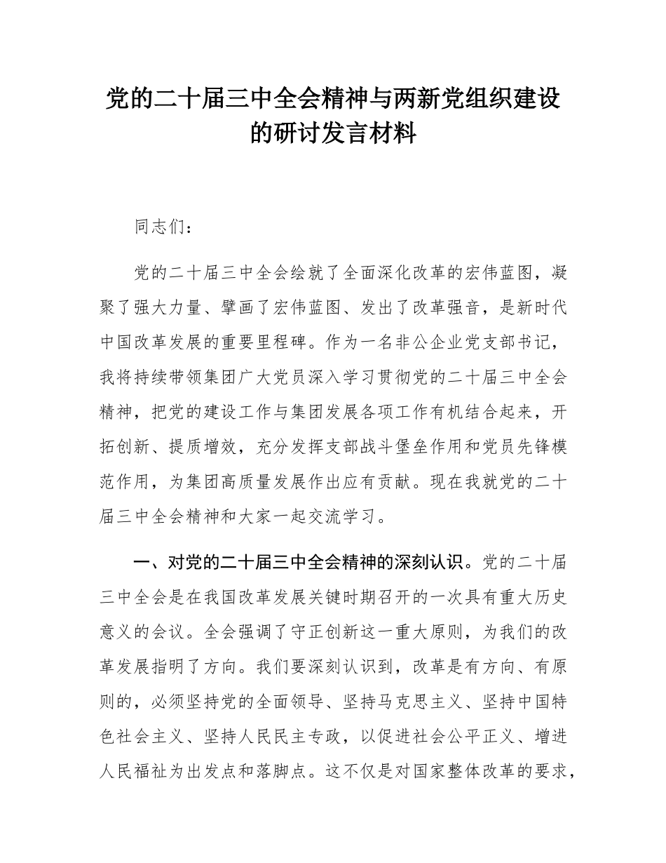 党的二十届三中全会精神与两新党组织建设的研讨发言材料.docx_第1页