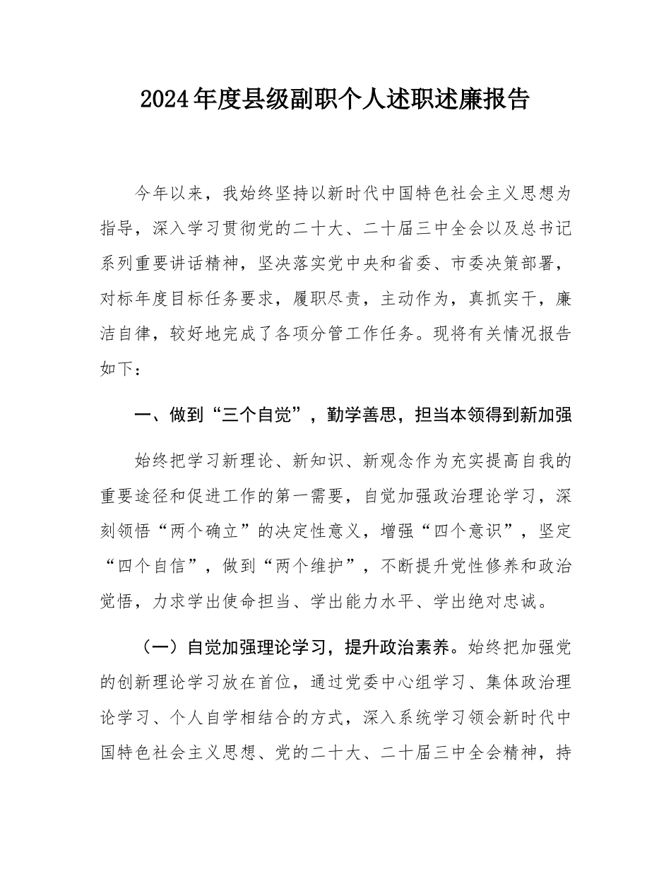 2024年度县级副职个人述职述廉报告.docx_第1页
