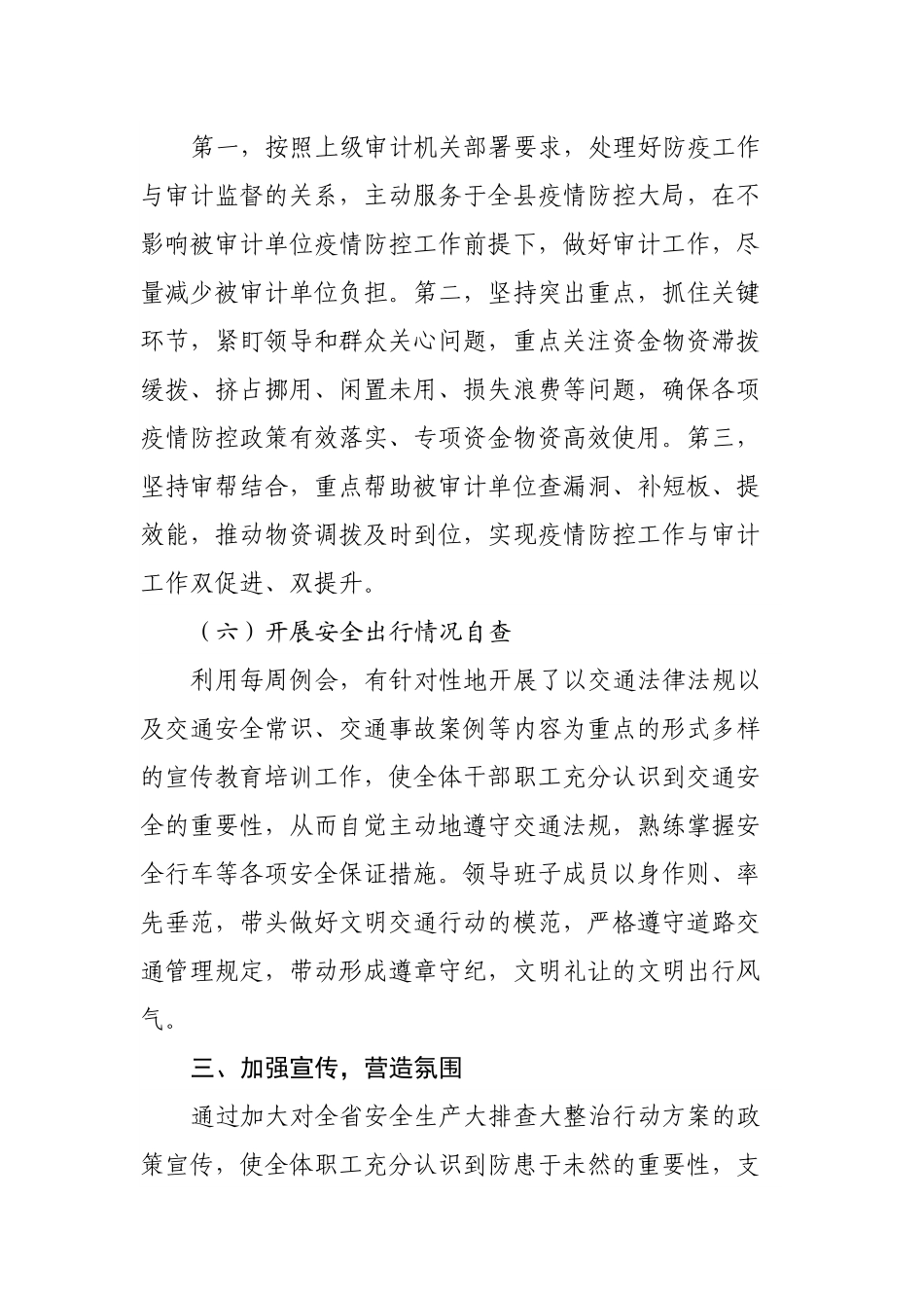 审计局落实开展安全生产大排查大整治工作情况的报告.docx_第3页