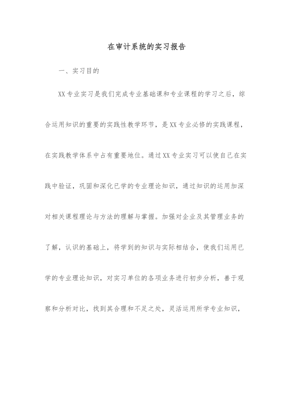 在审计系统的实习报告.docx_第1页