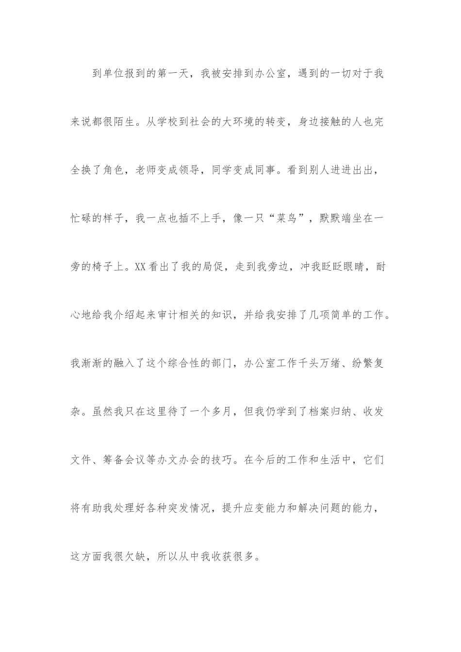 在审计系统的实习报告.docx_第3页
