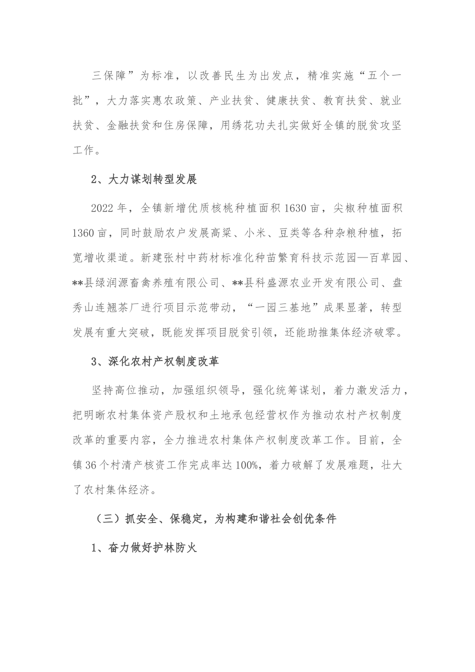乡镇2022年年度工作总结.docx_第3页