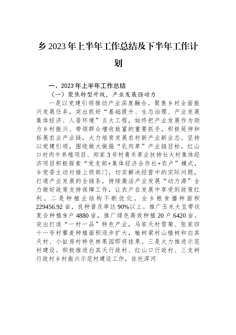 乡2023年上半年工作总结及下半年工作计划.docx_第1页