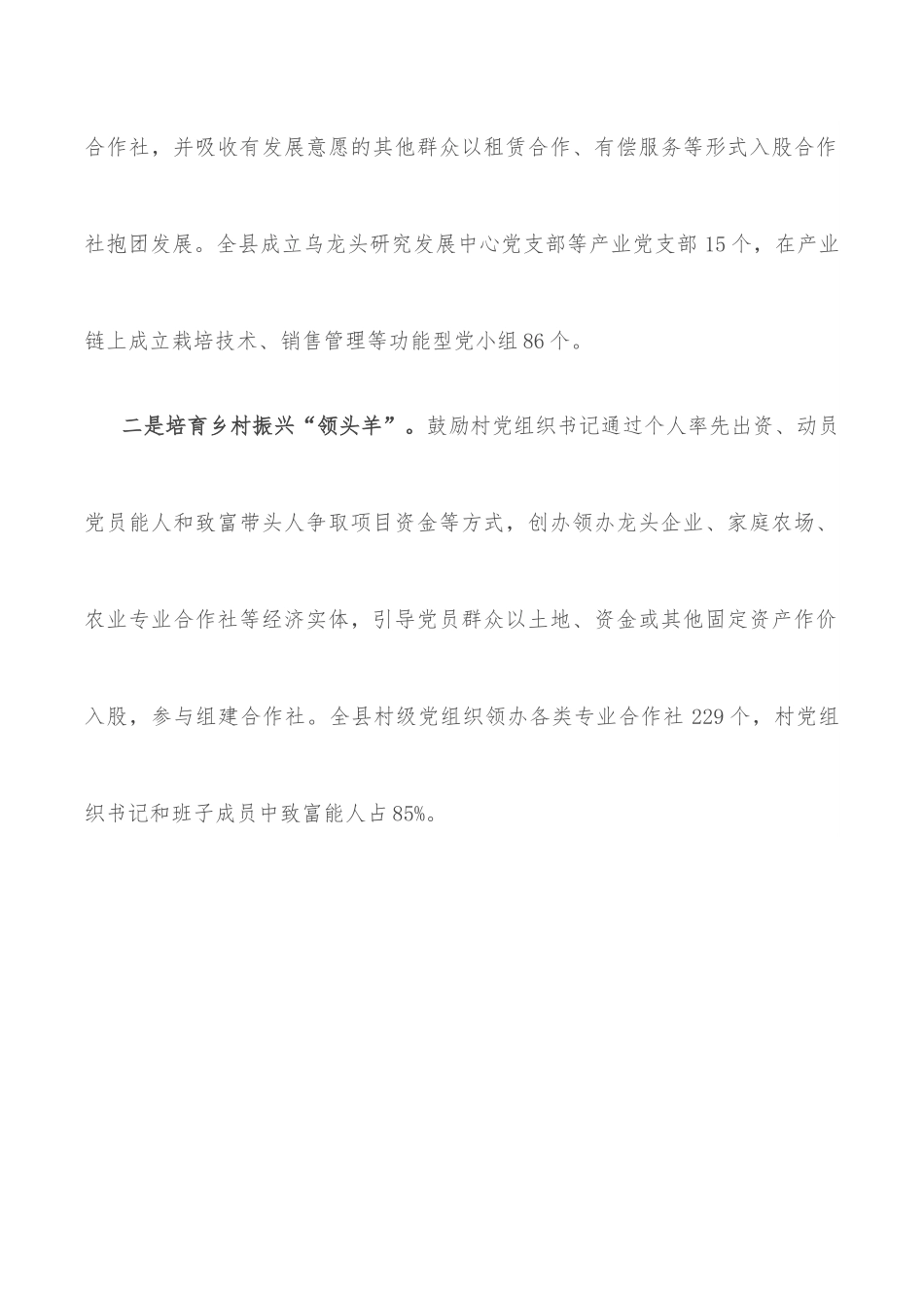 党建引领产业发展工作汇报.docx_第2页