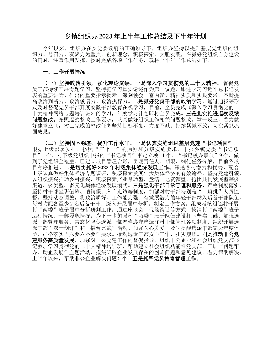 乡镇组织办2023年上半年工作总结及下半年计划.docx_第1页