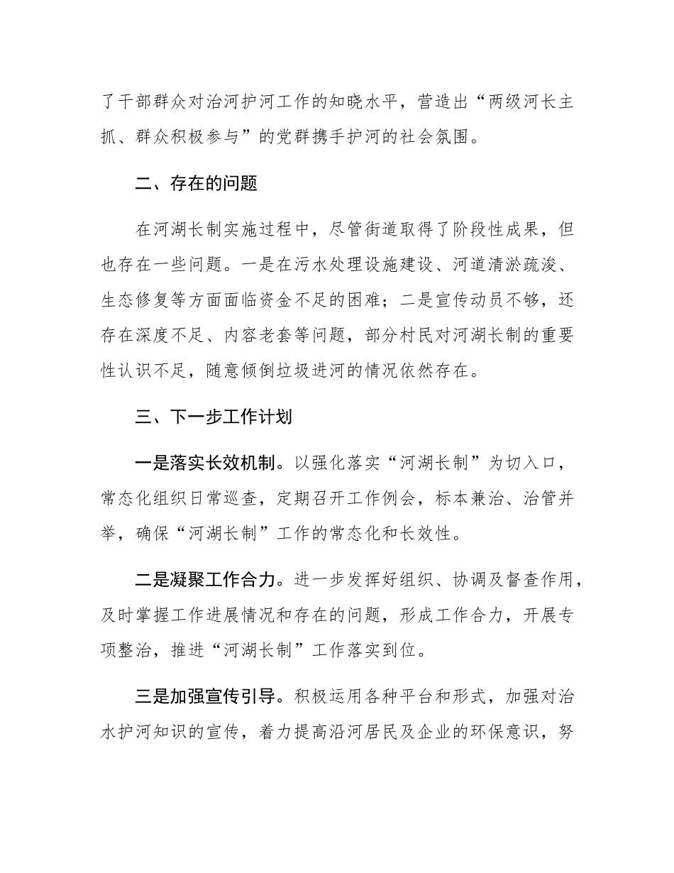 2024年度河湖长制工作述职报告.docx_第3页