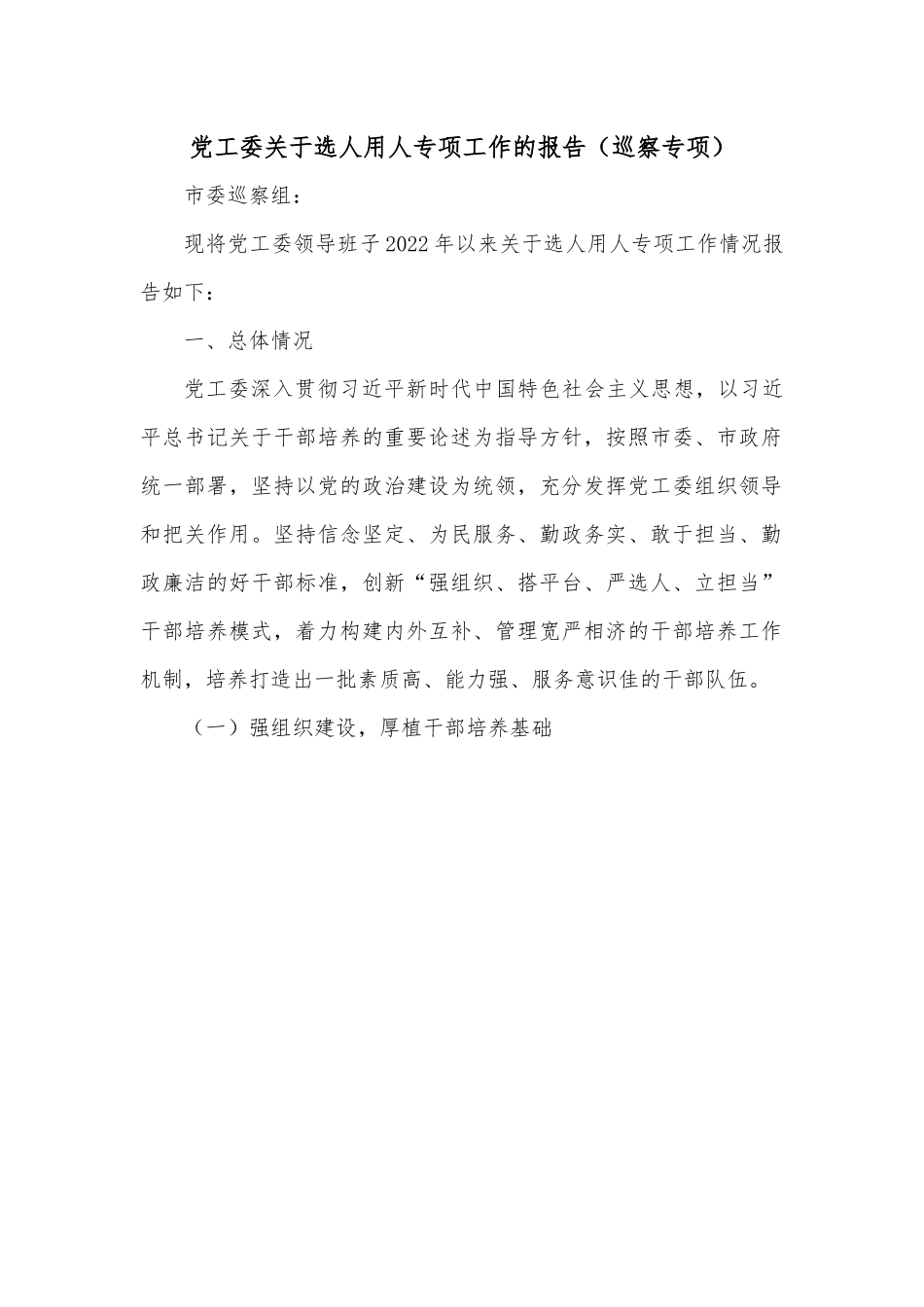 党工委关于选人用人专项工作的报告（巡察专项）.docx_第1页