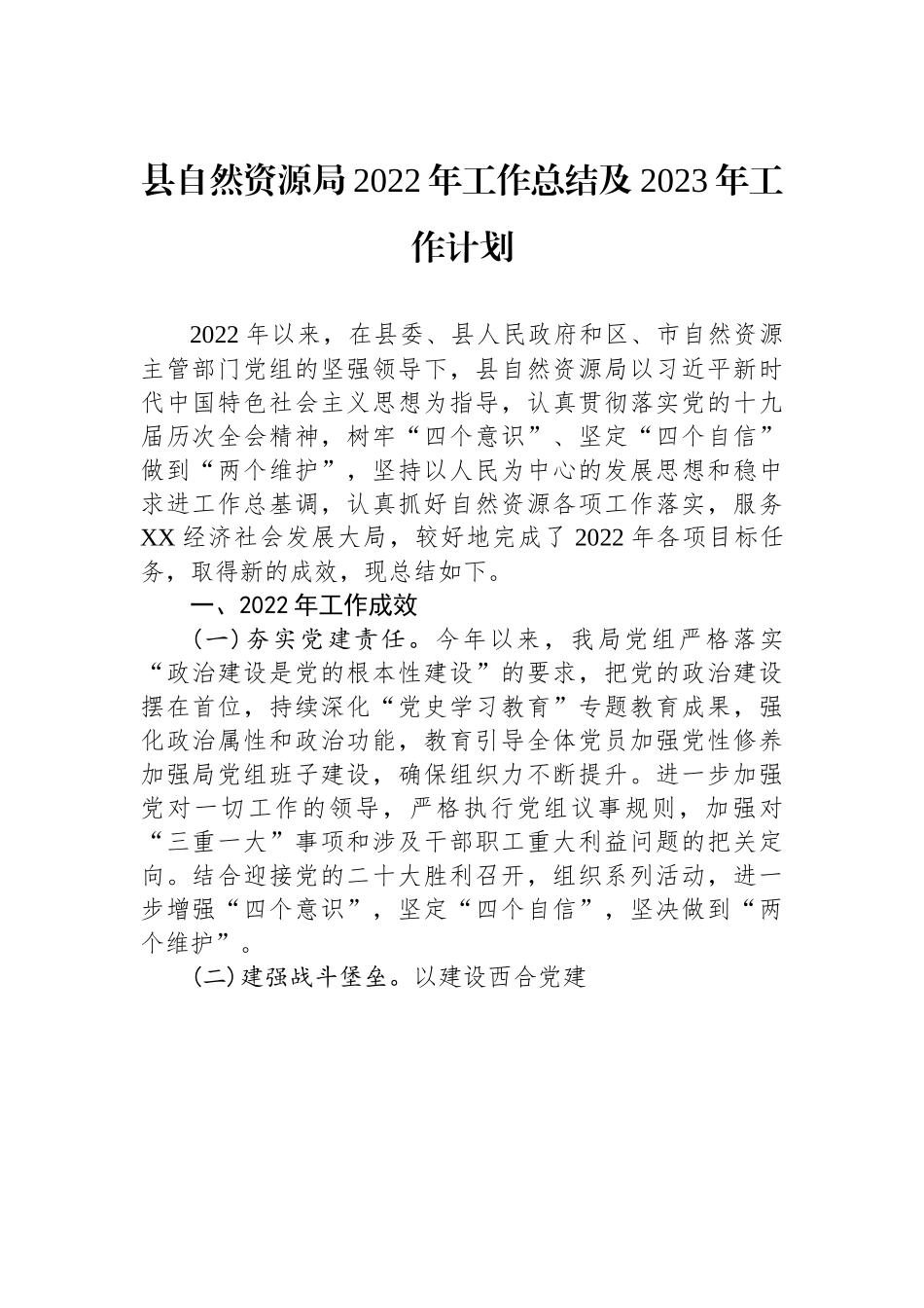 县自然资源局2022年工作总结及2023年工作计划.docx_第1页