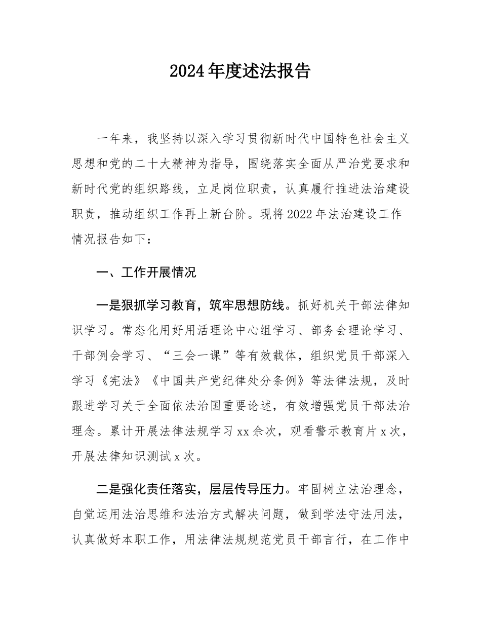 2024年度述法报告.docx_第1页
