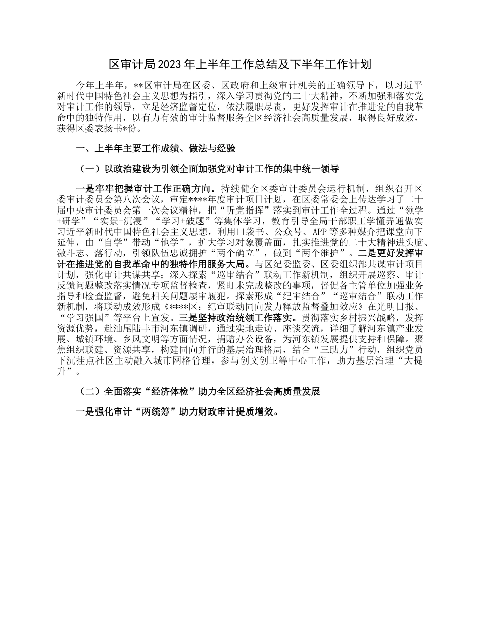 区审计局2023年上半年工作总结及下半年工作计划.docx_第1页