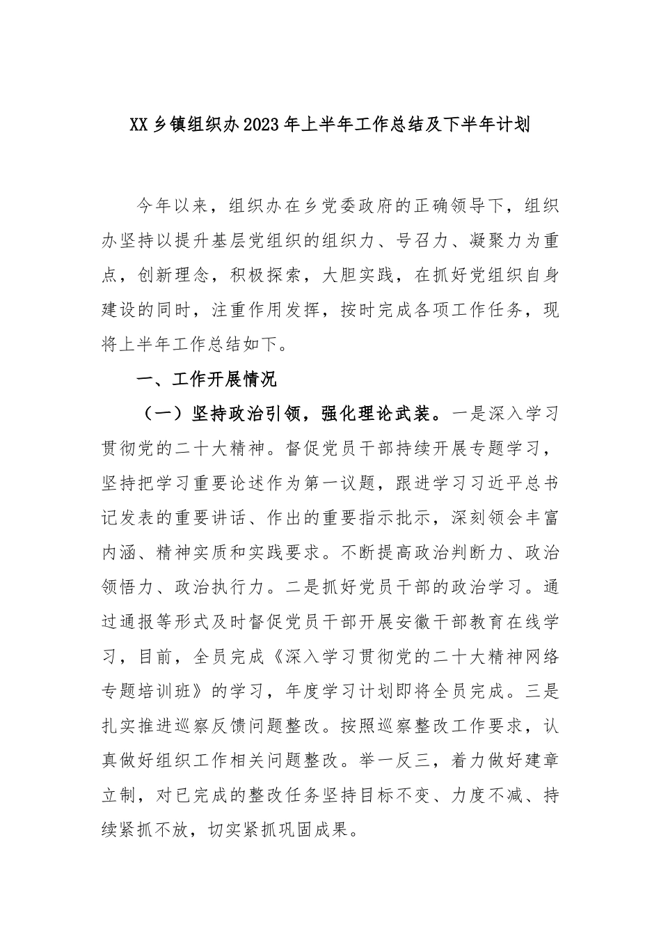 XX乡镇组织办2023年上半年工作总结及下半年计划.docx_第1页