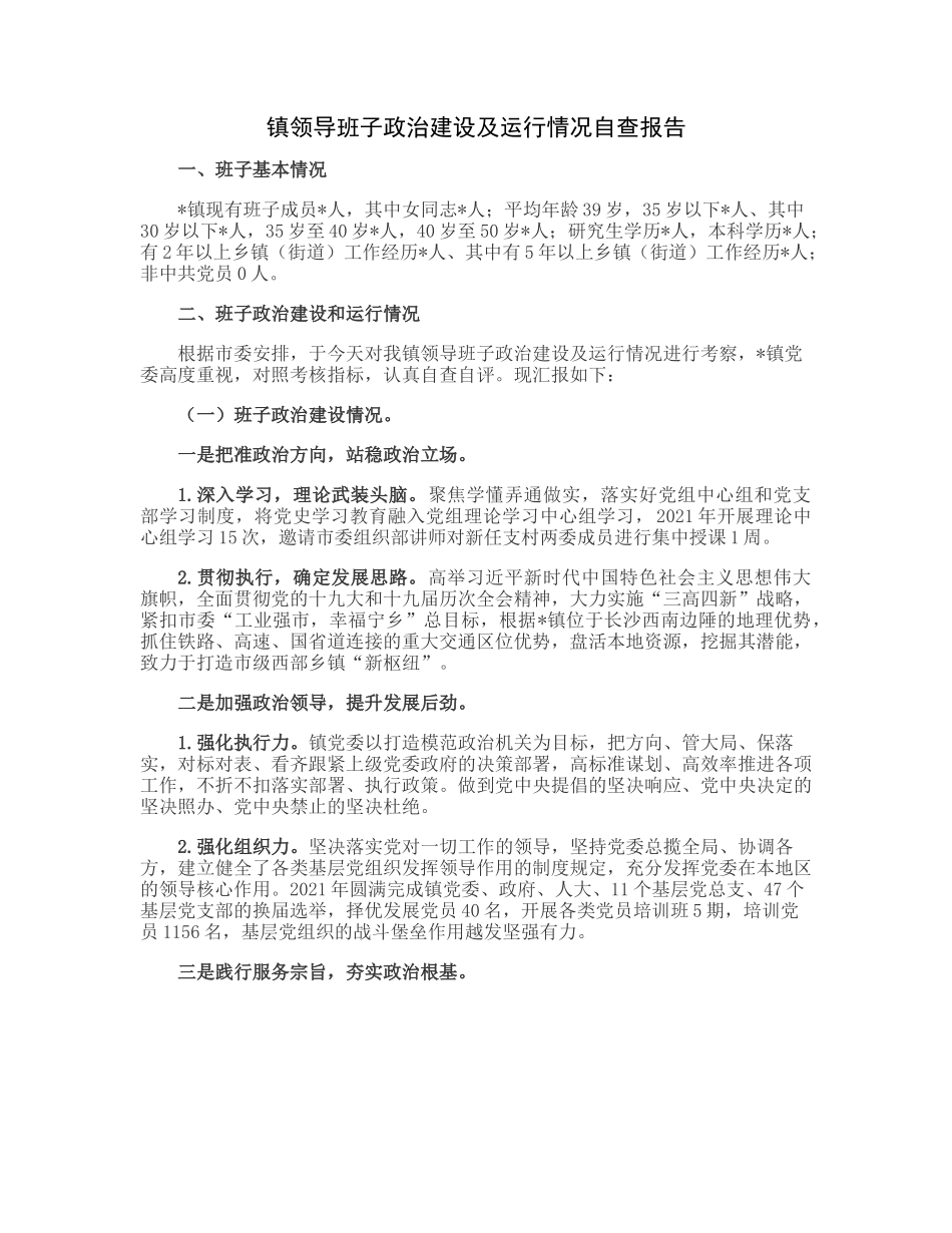 20230313：镇领导班子政治建设及运行情况自查报告.docx_第1页
