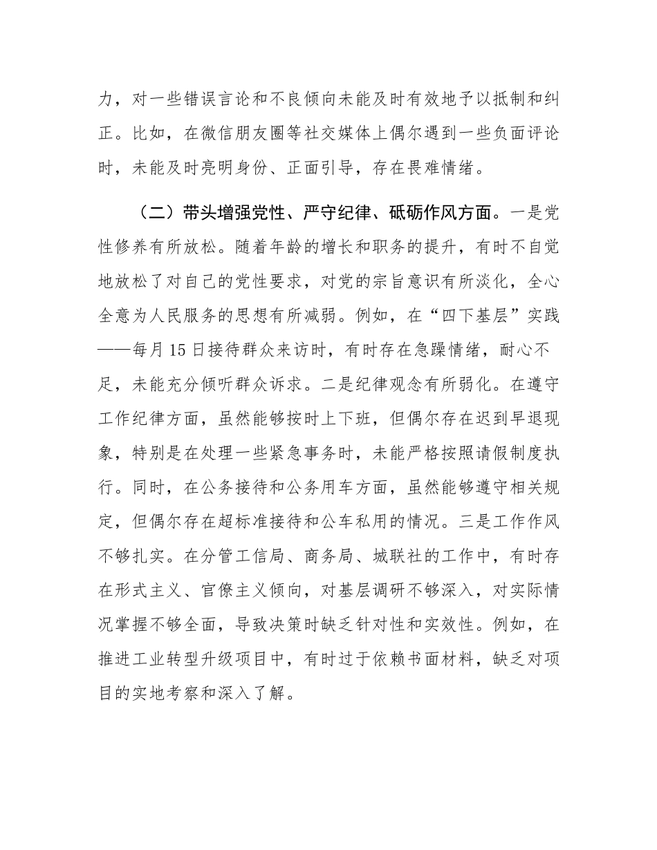 县政府班子成员2024年民主SH会个人对照检查发言材料.docx_第2页