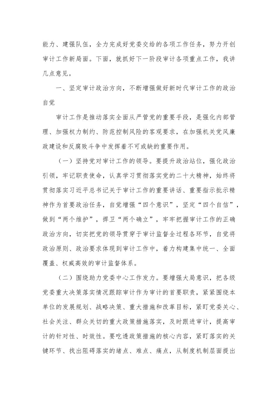 在审计工作会议上的讲话（2）.docx_第3页
