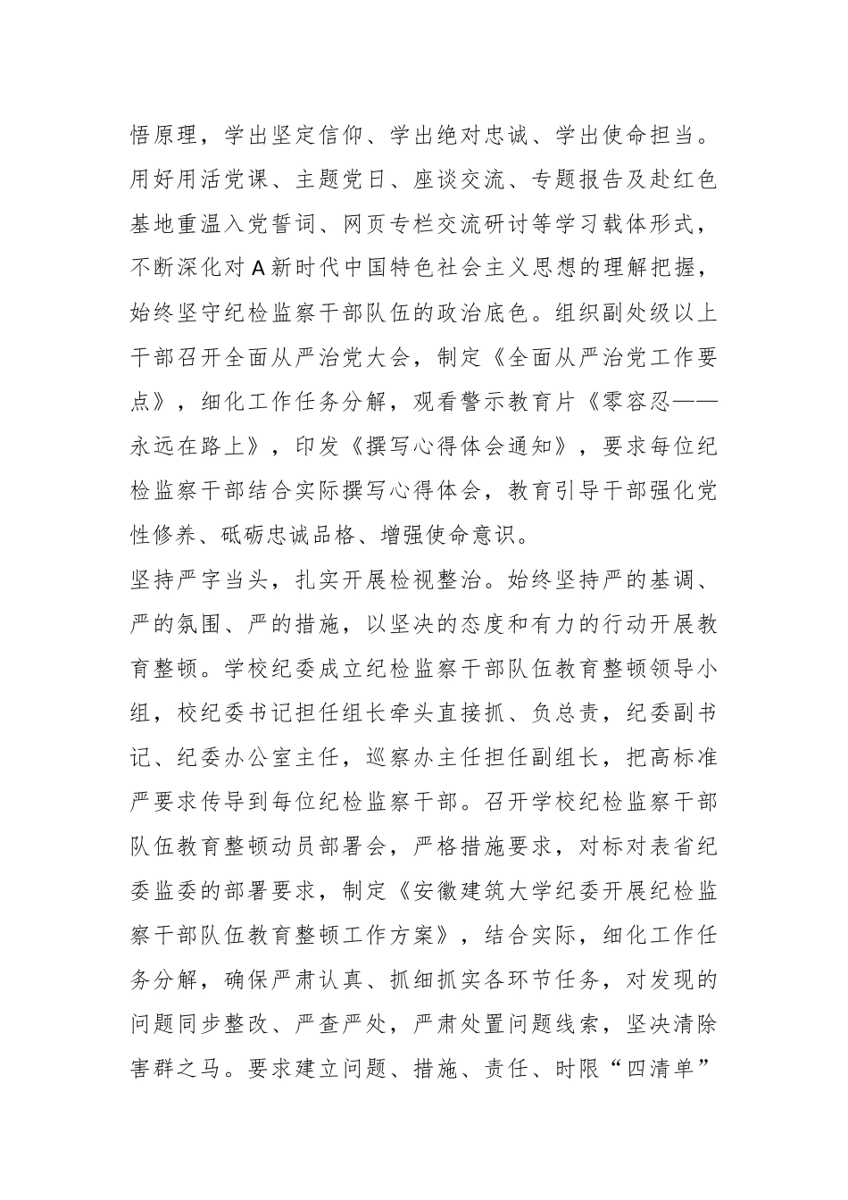 校领导在教育整顿学习体：从严从实抓好教育整顿  打造忠诚担当纪检铁军.docx_第3页