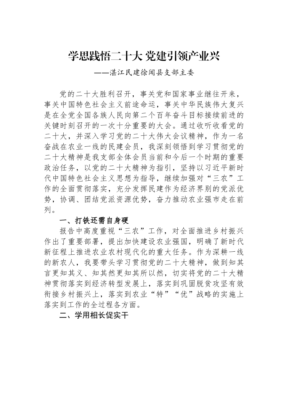 湛江民建徐闻县支部主委谈二十大心得体会.docx_第1页
