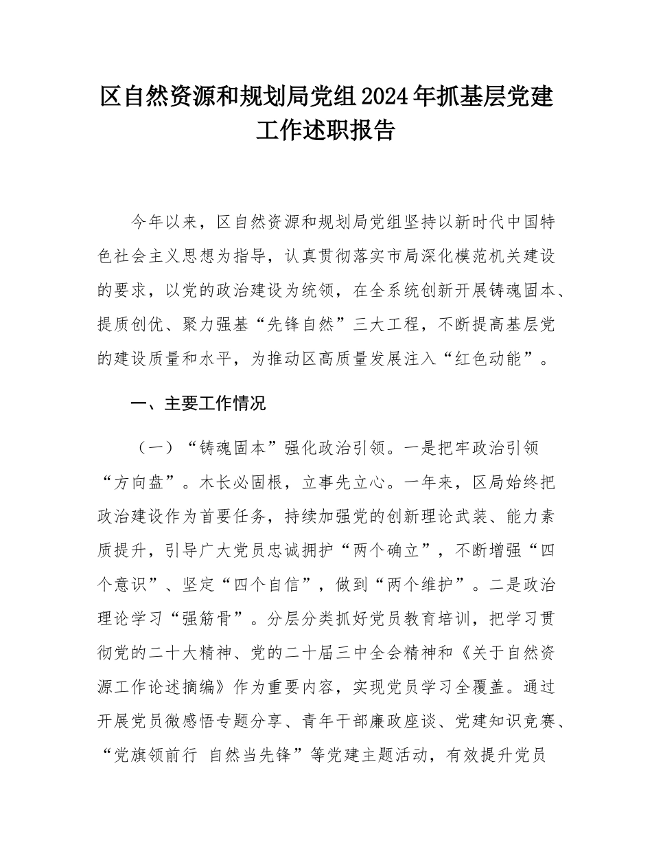 区自然资源和规划局党组2024年抓基层党建工作述职报告.docx_第1页