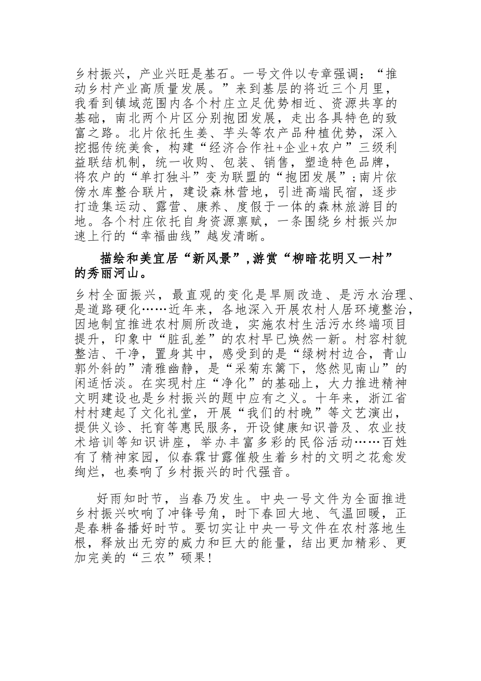 学习贯彻2023年中央一号文件助推乡村振兴打开新局面心得体会.docx_第2页