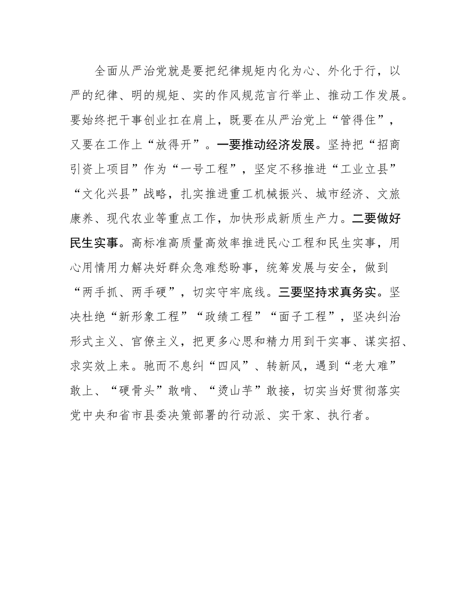 全面从严治党 践行实干担当——民主SH会前集中学习交流发言.docx_第3页