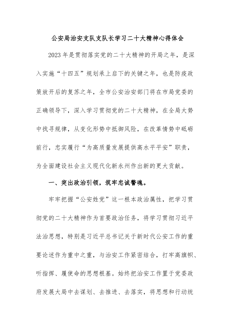 公安局治安支队支队长学习二十大精神心得体会.docx_第1页