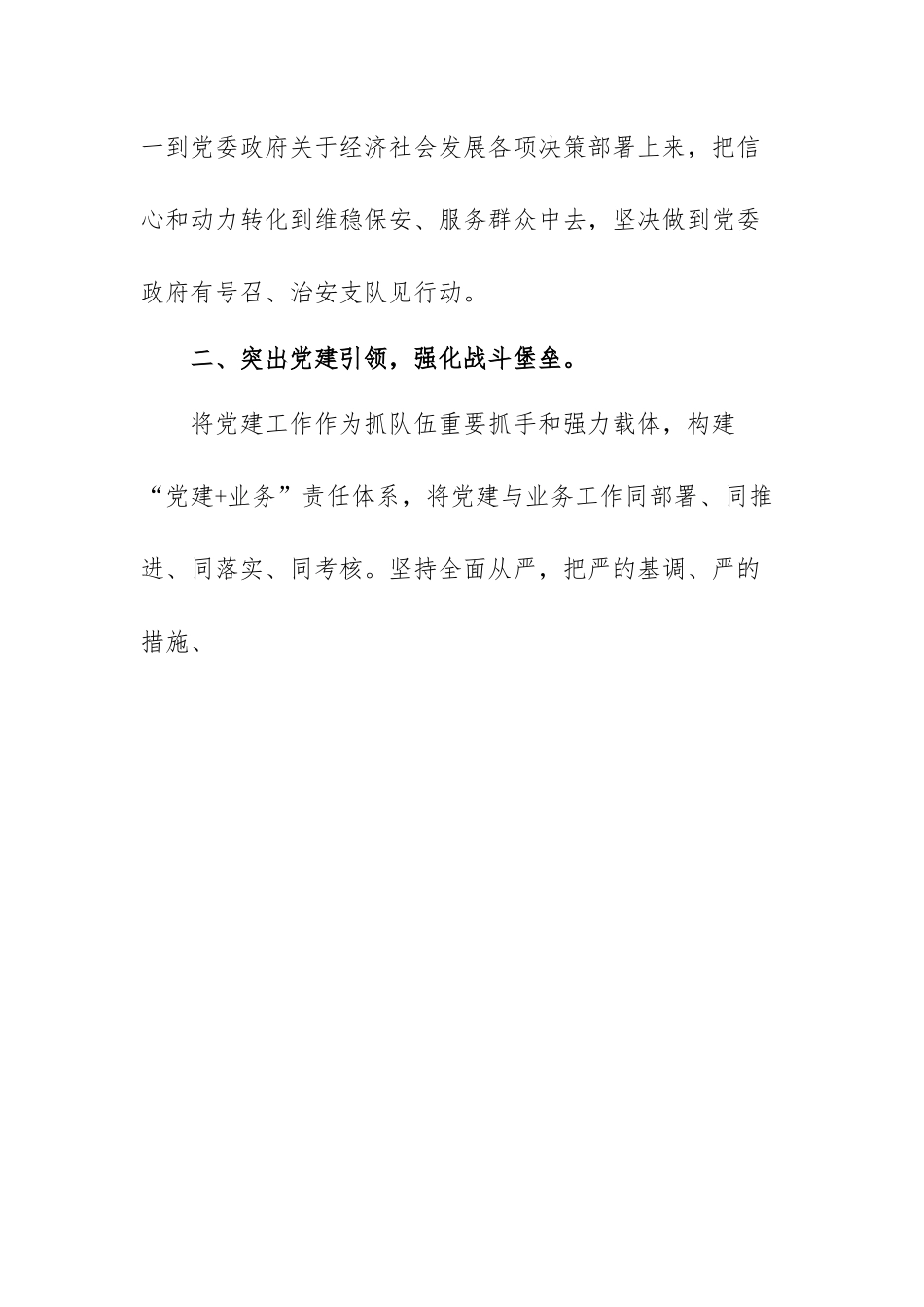 公安局治安支队支队长学习二十大精神心得体会.docx_第2页