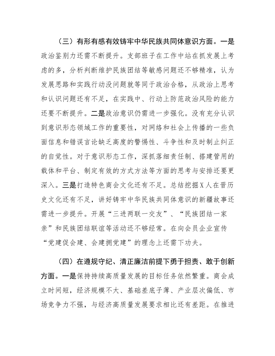 2024年商会支部班子对照检查材料.docx_第3页