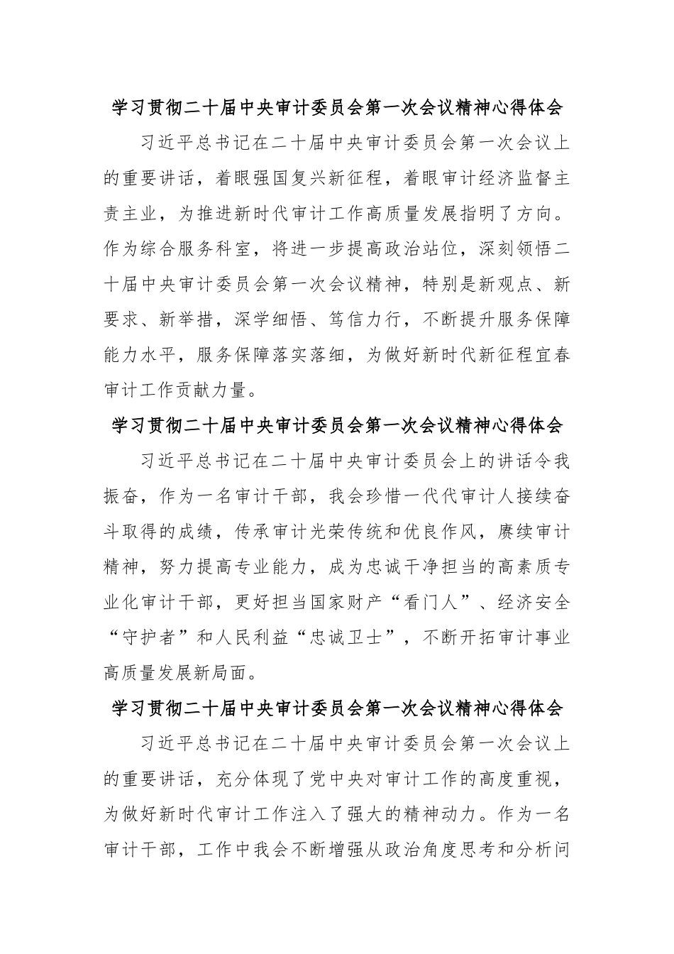 学习贯彻二十届中央审计委员会第一次会议精神心得体会.docx_第1页