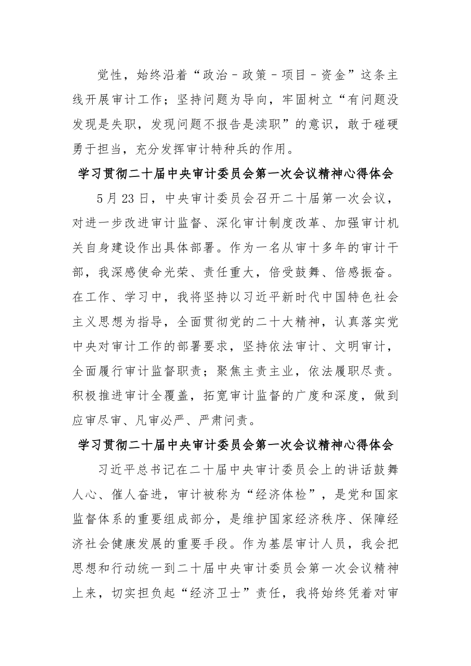学习贯彻二十届中央审计委员会第一次会议精神心得体会.docx_第3页