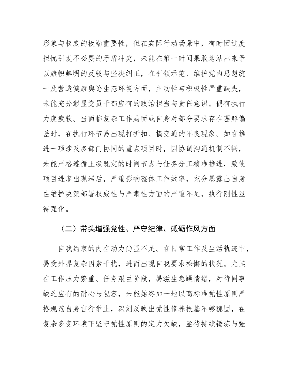 2024年度专题民主SH会对照检查材料（四个带头）.docx_第2页