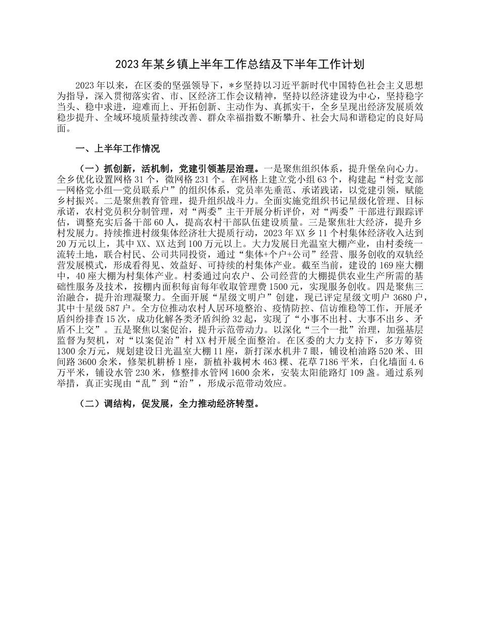2023年某乡镇上半年工作总结及下半年工作计划.docx_第1页