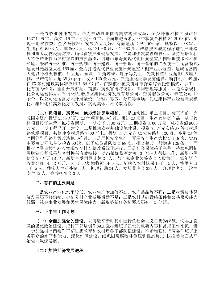 2023年某乡镇上半年工作总结及下半年工作计划.docx_第2页