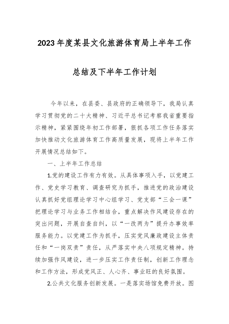 2023年度某县文化旅游体育局上半年工作总结及下半年工作计划.docx_第1页