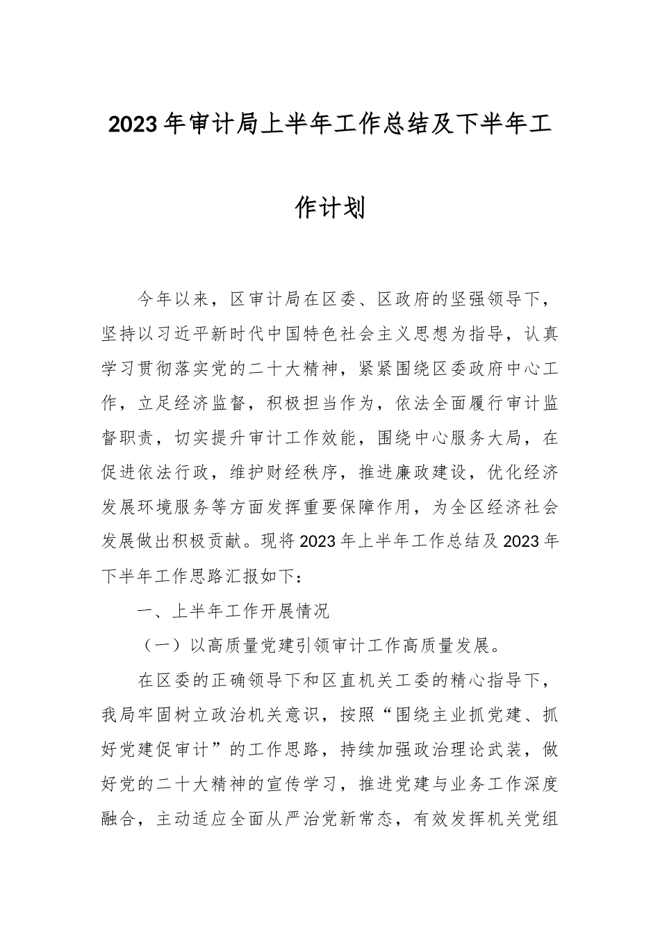 2023年审计局上半年工作总结及下半年工作计划.docx_第1页