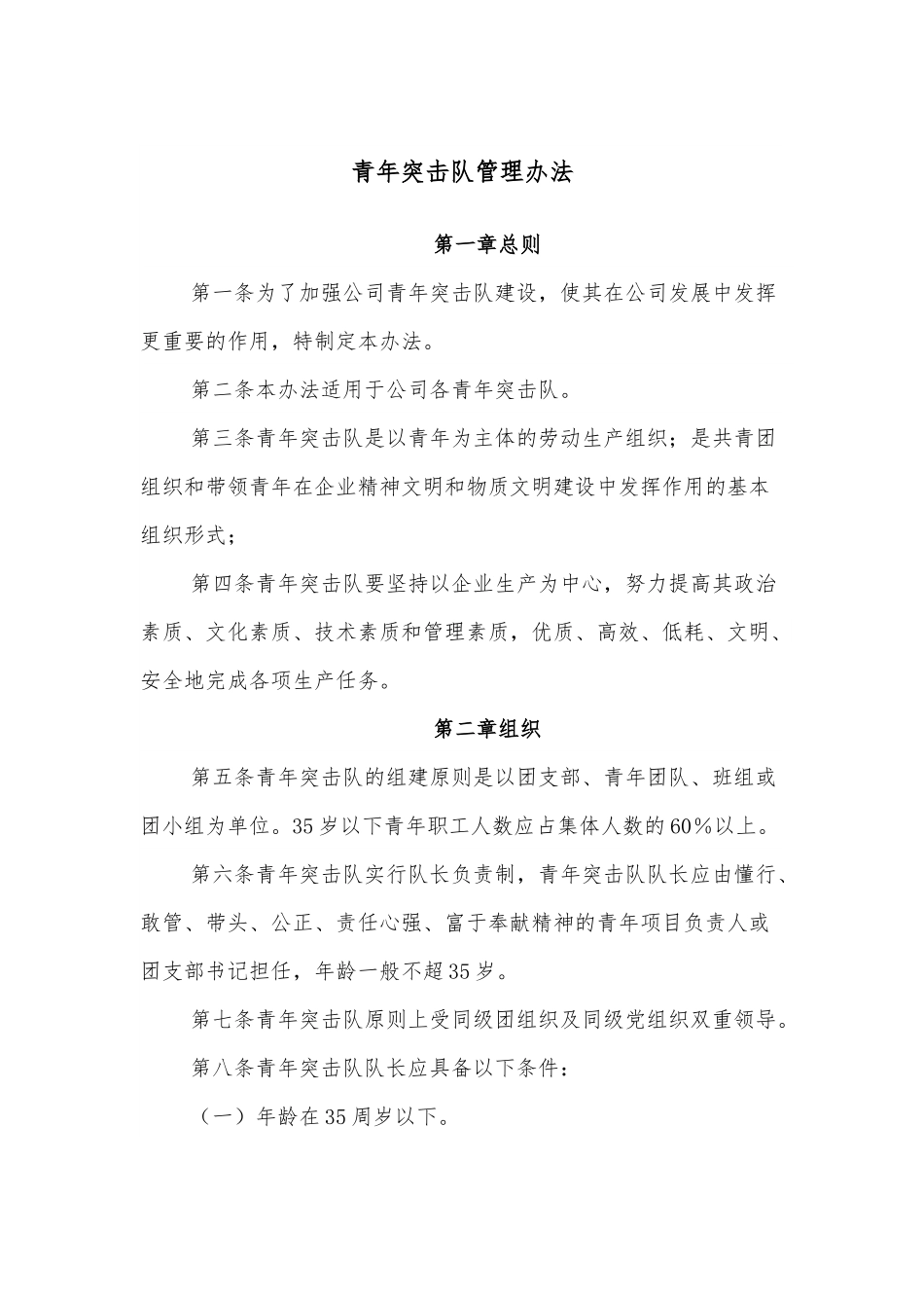青年突击队管理办法.docx_第1页