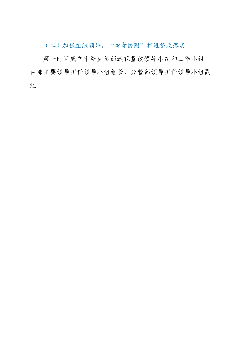 关于巡视整改工作进展情况报告.docx_第2页